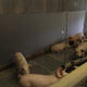 Image for article titled A Video Game That Helps People Forge Stronger Relationships...With Pigs